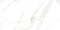 Egen VERONA GOLD 60X120X7MM RECT. (1,44) POLISHED PD-ZA-VG-7011