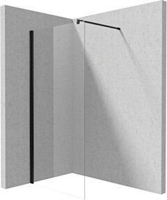 Deante Kerria Plus Ścianka prysznicowa / walk-in systemu Kerria Plus 100 cm KTS_N30P