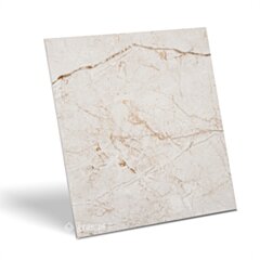 Prime Ceramics Avorio Bianco 60x60 carving