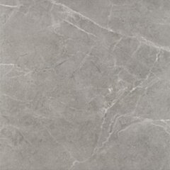 Paradyż Ibis Grys Gres Szkl. Mat. 60x60 G1