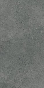 Paradyż Authority Graphite Gres Szkl. Rekt. Mat 59,8x119,8 G1