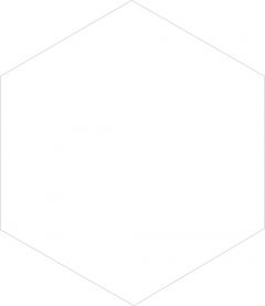 Płytki Solid White heksagon EGEN 21,5x25