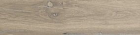 Stargres Pp DUBLIN ALMOND / DUNEDIN 15,5X62 G.1 PROMO SG
