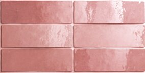 Equipe ARTISAN ROSE MALLOW 6,5X20 G1 EQ 24466