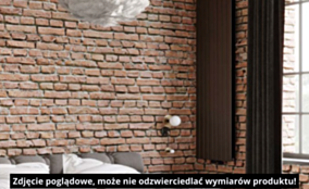 Luxrad Vertirad podwójny Grzejnik 1700x445 biały VERP17004459003ZDC