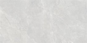 Alaplana P.E. DALKEY GRIS SATINATO 60X120 REC. G1 AL