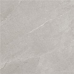 Emigres TERRA GRIS 60X60 LAPPATO G.1 EG