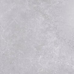 Emigres ALEXIA GRIS 60X60 LAPPATO G.1 EG