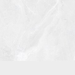 Saloni BYBLOS CENIZA 120X120 MAT. S0000081  G1 SL