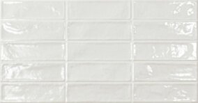 Ecoceramic EC. POOL WHITE 31,6X60 G1 EC