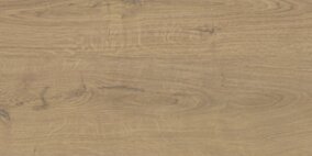 Stargres Pp SGR63-1/ GORO/ YOSEMITE BEIGE 30x60 g.1 SG
