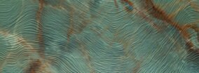 Tubądzin PTU REEF dekor 32.8x89.8  (6) DS-01-208-0328-0898-1-017