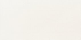 Tubądzin PTD REFLECTION white 1 inserto 29.8x59.8 (6) DS-01-232-0298-0598-1-007