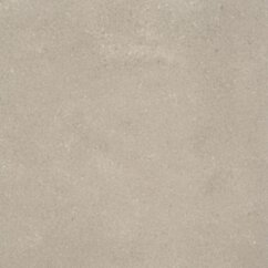 Cerrad PNG NEOTEC BEIGE 597X597X8,5 (1,43)