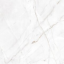 Egen płytki PRIME VALENCIA SILVER GREY 60X60X8MM RECT. (1,44) POLISHED