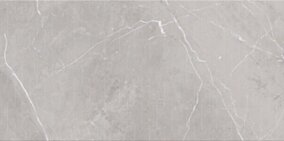Cersanit ASSIER GREY INSERTO GLOSSY 29,7X60 ND919-002