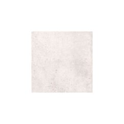 Cerrad PNG GEOTEC 10 JASNOSZARY 597X597X8,5 (1,43)