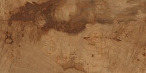 Egen BIRCHWOOD 60x120x8,5MM RECT. (1,44) STRUCTURE PD-LO-BW-0001