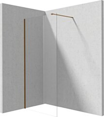 Deante Prizma Ścianka prysznicowa walk-in 120 cm KTJ_C32P