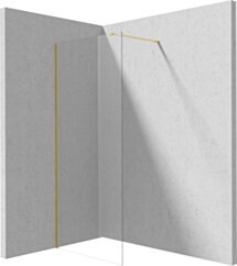 Deante Prizma Ścianka prysznicowa walk-in 80 cm KTJ_R38P