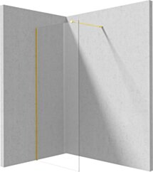 Deante Prizma Ścianka prysznicowa walk-in 120 cm KTJ_Z32P