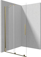 Deante Prizma Ścianka prysznicowa walk-in 100 cm - przesuwna KTJ_Z30R
