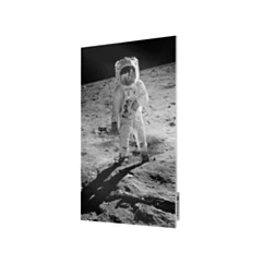 Termofol Metalowy promiennik podczerwieni TF-SWT700 z nadrukiem Astronauta na księżycu