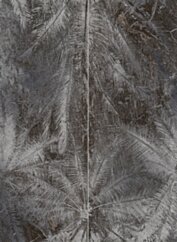 Tubądzin PTU SEDONA palms dekor 2-elementowy 65.8x89.8 (1) DS-01-293-0658-0898-1-010