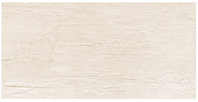 Tubądzin PTD TERRAFORM str 29.8x59.8 (1.07) PS-01-227-0298-0598-1-001