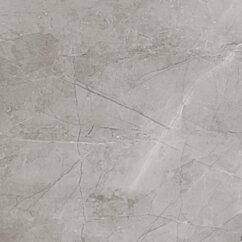 Tubądzin PTD REMOS grey mat 59.8x59.8 (1.79) PP-02-551-0598-0598-1-042