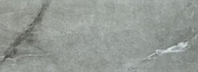 Tubądzin PTU ORGANIC MATT grey 32.8x89.8 (1.77) PS-01-205-0328-0898-1-016