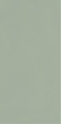 Paradyż Neve Creative Green Sciana Polysk 9,8x19,8 G1
