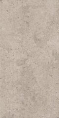 Paradyż Starlight Grys Gres Szkl. Mat. 30x60 G1
