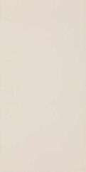 Paradyż Synergy Beige Sciana 30x60 G1