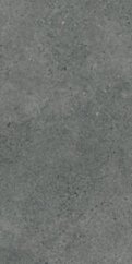 Paradyż Authority Graphite Gres Szkl. Rekt. Mat 59,8x119,8 G1