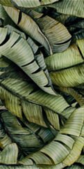 Paradyż Uniwersalne Inserto Szklane Leaf B  30x60 G1