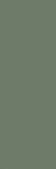 Paradyż Nightwish Green Sciana Rekt. 25x75 G1