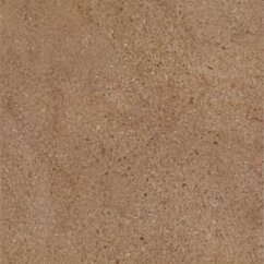 Paradyż Algo Brown Gres Szkl. Mat. 30x30 G1