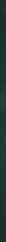 Paradyż Uniwersalna Listwa Szklana Paradyz Green 2,3x89,8 G1