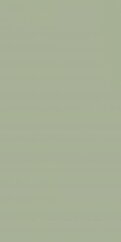 Paradyż Feelings Green Sciana Rekt. 29,8x59,8 G1
