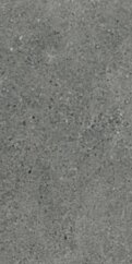 Paradyż Autrim Graphite Mat 29,8x59,8 G1