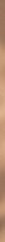 Paradyż Uniwersalna Listwa Metalowa Gold Mat Profil 2x119,8 G1