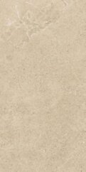 Paradyż Authority Beige Gres Szkl. Rekt. Mat 59,8x119,8 G1