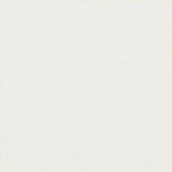 Paradyż Modern Bianco Taco Mat. 4,8x4,8 G1