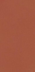 Paradyż Neve Creative Terracotta Sciana Mat 9,8x19,8 G1