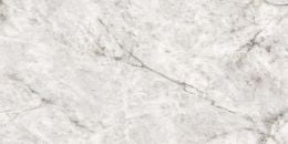 Szara imitująca kamień płytka gresowa o prostokątnym kształcie. Białe tło
