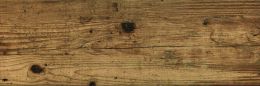 Płytki drewnopodobne Timber Roble (Tarima Roble) EGEN 20,5x61,5